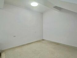 Lowland Road (D19), Terrace #630183411